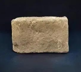 广东又有重大考古新发现！