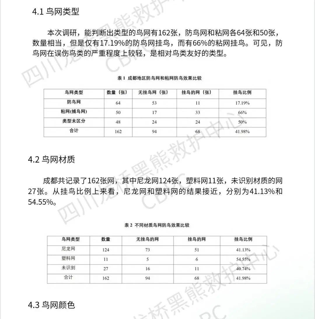 这些成都人想为鸟儿“网开一面”