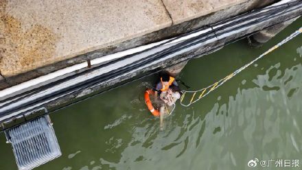 辽宁民警广东办案时救下落水女孩！