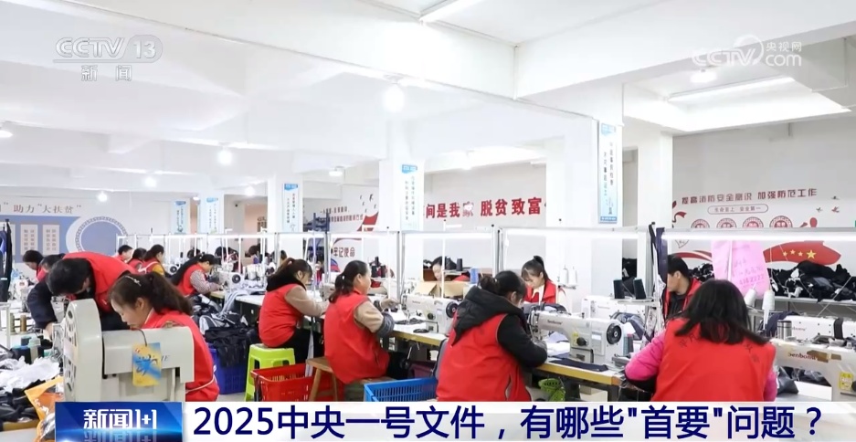 2025中央一号文件 有哪些“首要”问题？