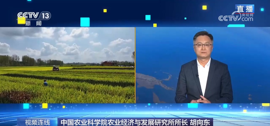 2025中央一号文件 有哪些“首要”问题？