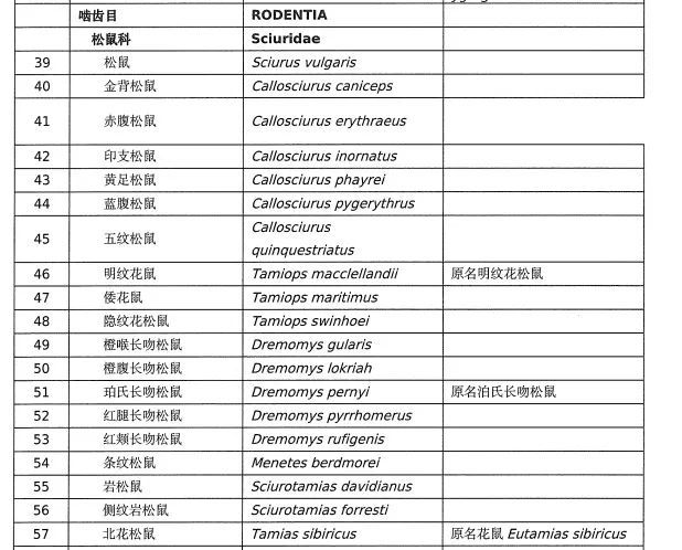 上海市民看《哪吒2》网购“土拨鼠”，有关部门：实为喜马拉雅旱獭！国家卫健委紧急提醒