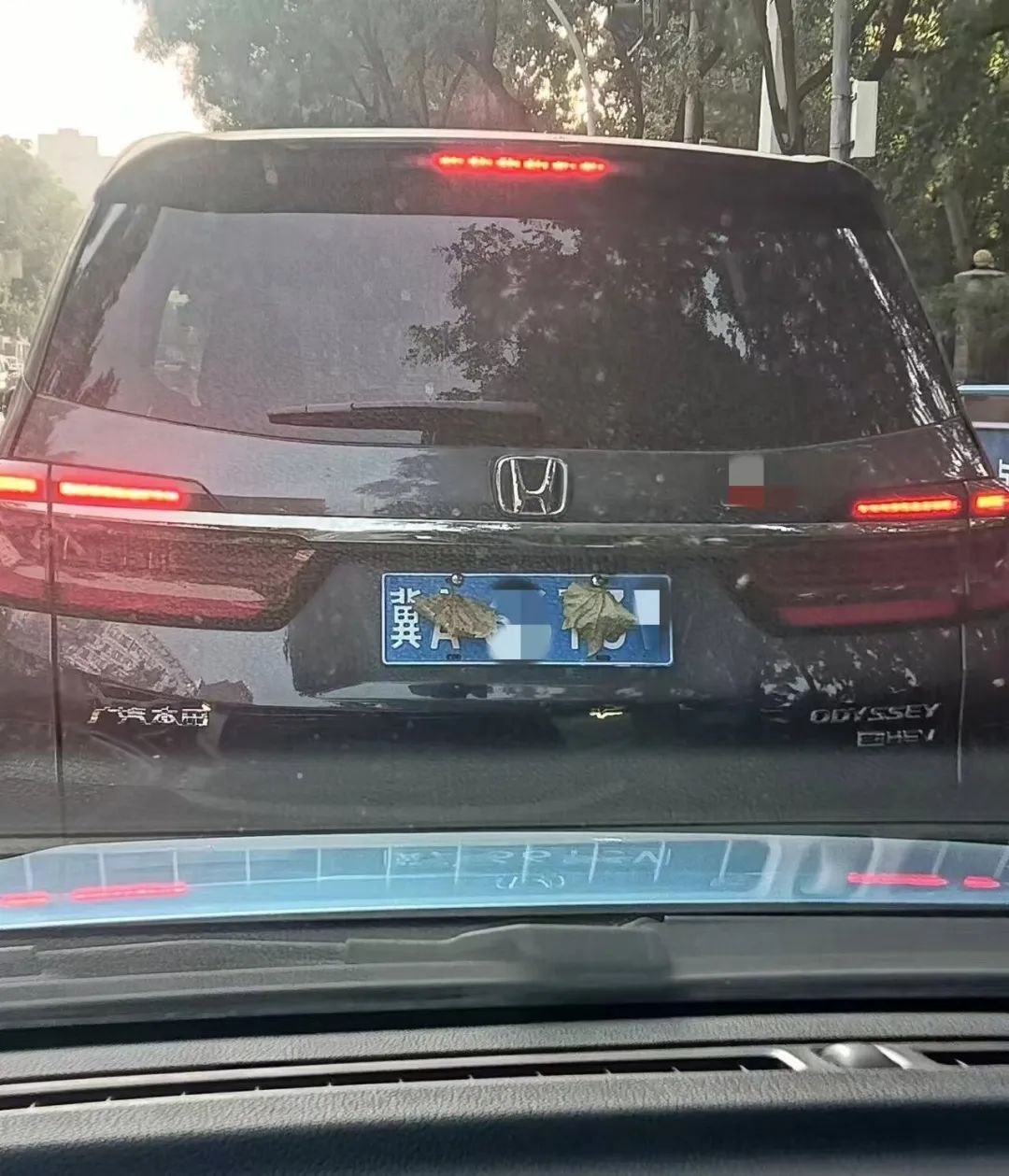 车牌玩“隐身”？！记9分罚200！