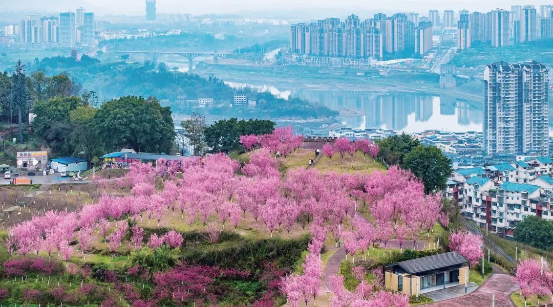 价格大跳水!有的跌破200元!网友:正是捡漏的时候…… 价格大跳水!有的跌破200元!网友:正是捡漏的时候……