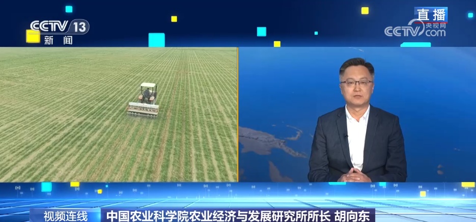 2025中央一号文件 有哪些“首要”问题？