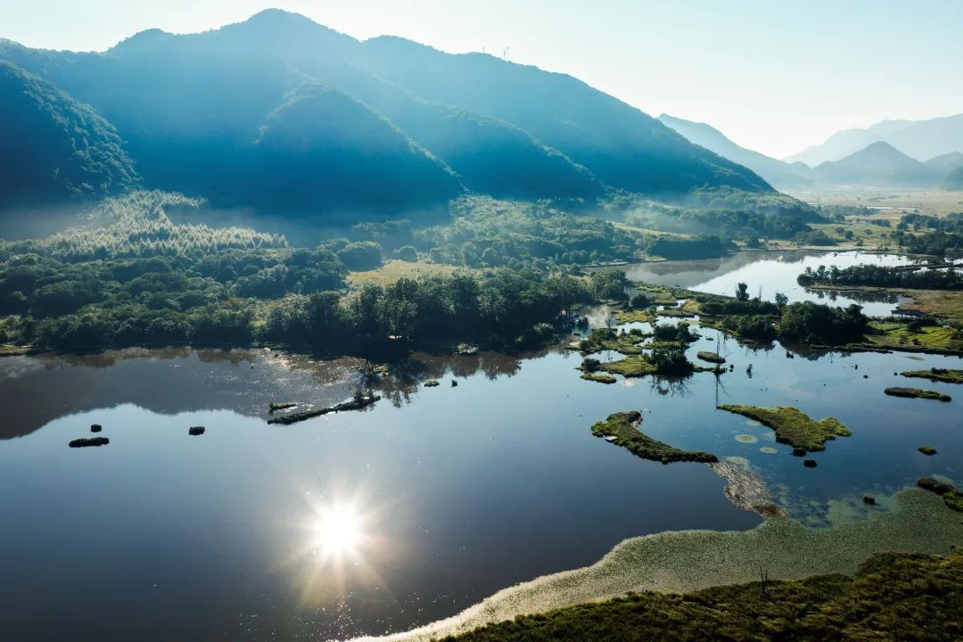 刚刚宣布：门票1元！武汉人抓紧