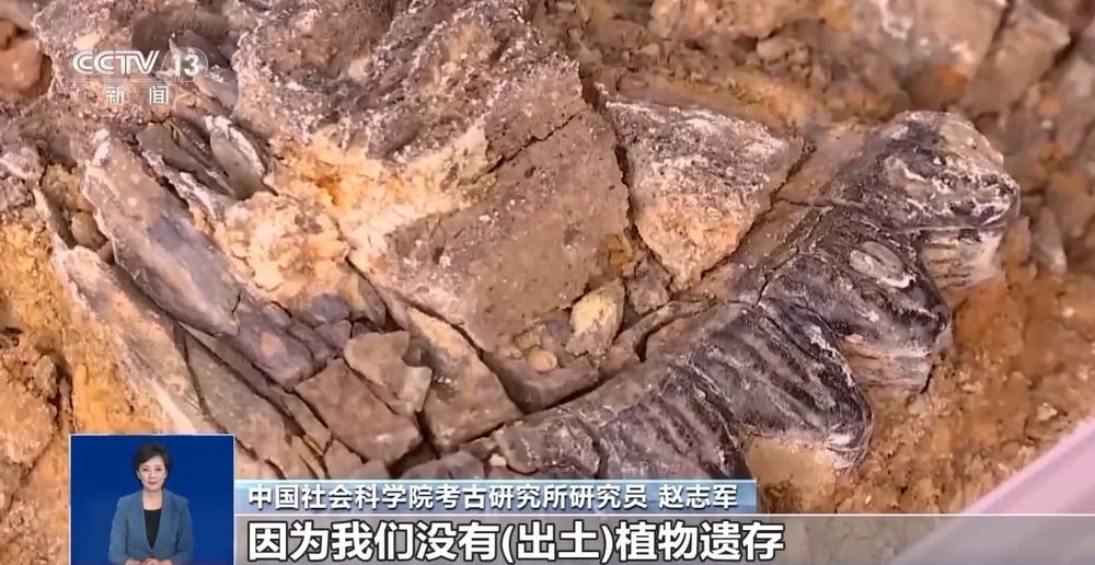 30万年前的古人类“下巴”长啥样？揭秘“老祖宗”的那些事