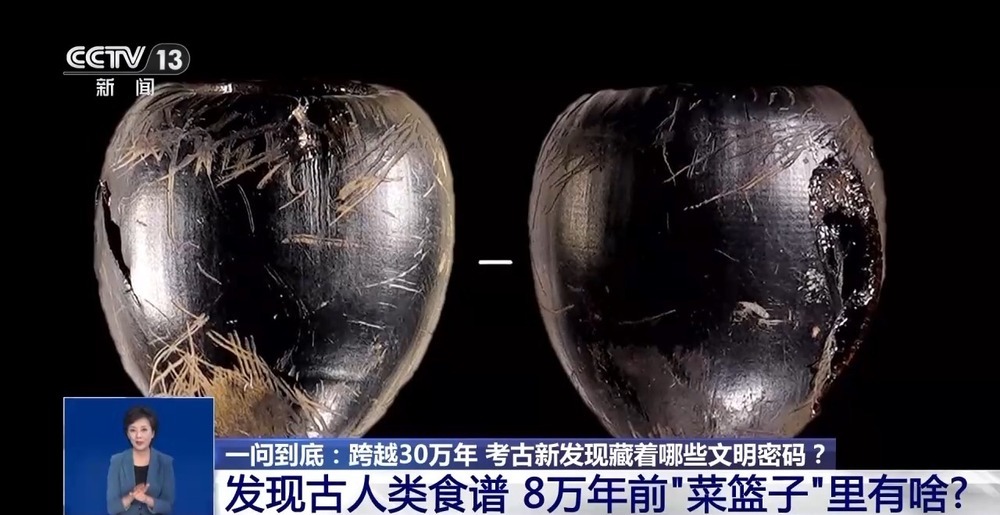 30万年前的古人类“下巴”长啥样？揭秘“老祖宗”的那些事