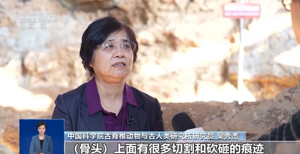 30万年前的古人类“下巴”长啥样？揭秘“老祖宗”的那些事