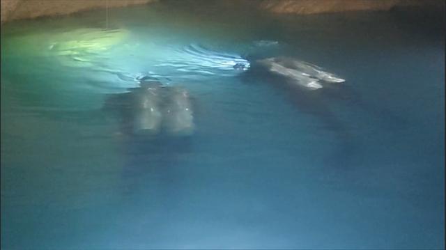 69小时生死营救!国内首例洞穴潜水救援成功案例! 69小时生死营救!国内首例洞穴潜水救援成功案例!