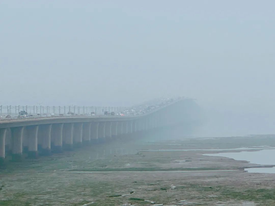 又雾又雨！即将超级大回暖！厦门接下来……