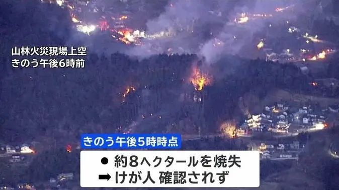 日本突发山林大火 日本突发山林大火