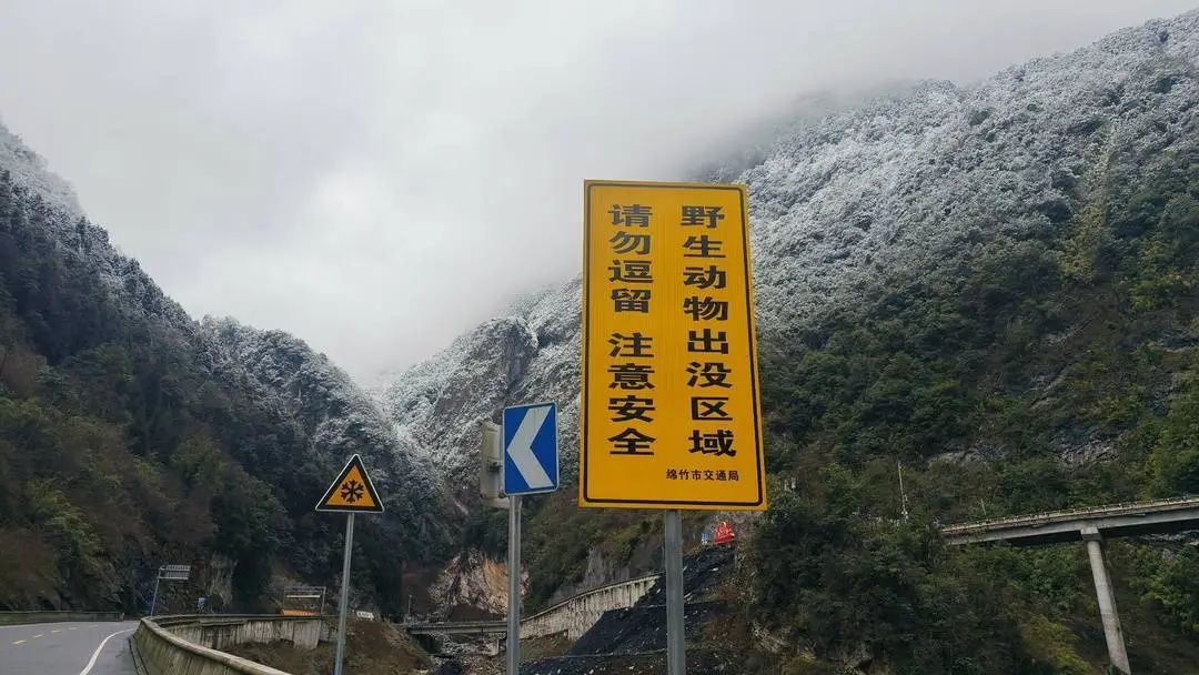 “投喂野生猴”竟成为绵茂公路打卡项!“禁喂”联合倡议来了 “投喂野生猴”竟成为绵茂公路打卡项!“禁喂”联合倡议来了