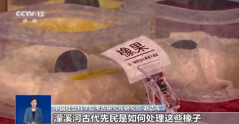 30万年前的古人类“下巴”长啥样？揭秘“老祖宗”的那些事