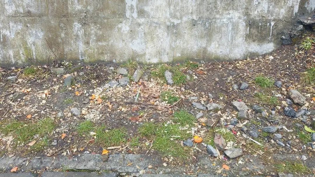 “投喂野生猴”竟成为绵茂公路打卡项!“禁喂”联合倡议来了 “投喂野生猴”竟成为绵茂公路打卡项!“禁喂”联合倡议来了