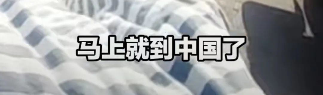 “你要撑住！马上就到中国了！马上就可以抢救了！”