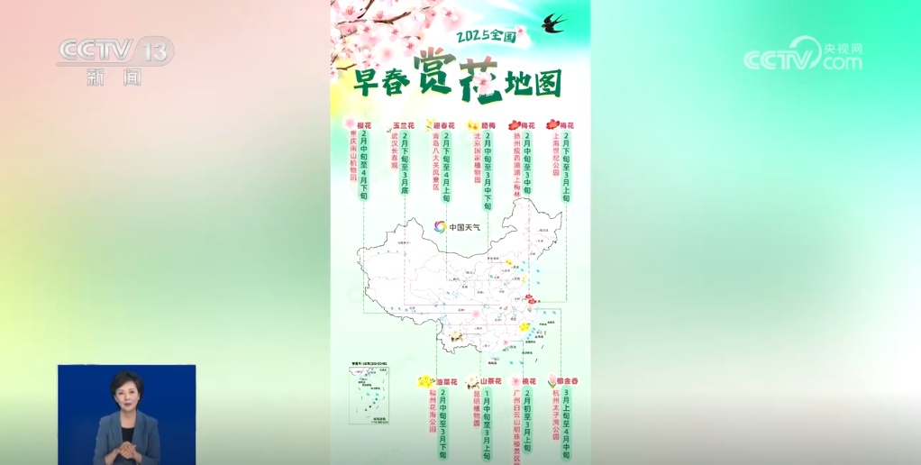 早春赏花地图出炉！看各地春花烂漫，哪里是你的心头好？