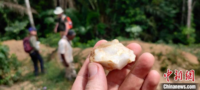 人类何时开始生活于热带雨林？国际最新研究发现15万年前证据