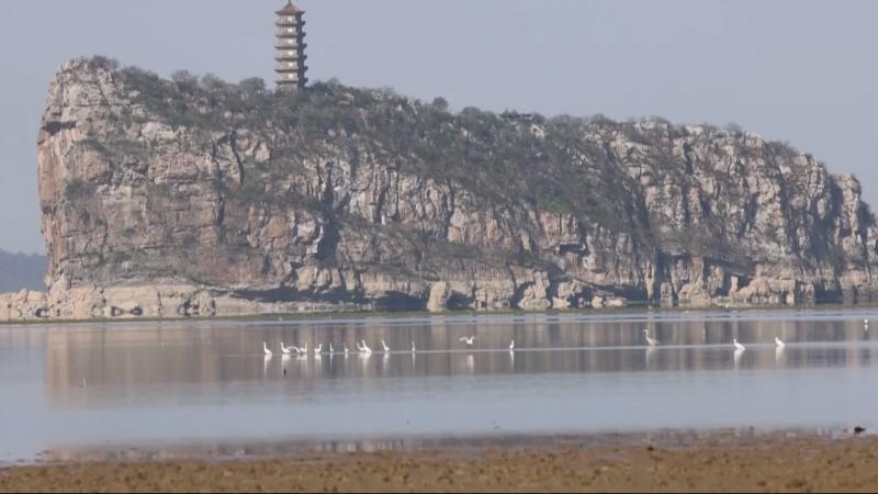 江西湖口：20多种候鸟在此补给 生态湖泊成重要中转站