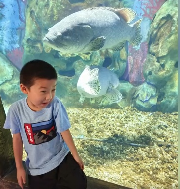 上海的6岁小孩也太牛了吧！最近很多人刷到成年人都自叹不如