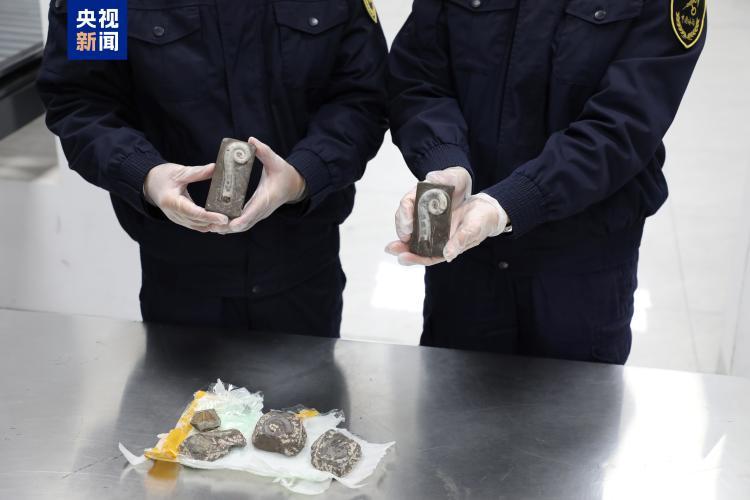 “创意摆件”出口包裹查出6块古生物化石……海关提醒! “创意摆件”出口包裹查出6块古生物化石……海关提醒!