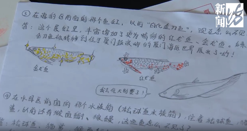 上海的6岁小孩也太牛了吧！最近很多人刷到成年人都自叹不如