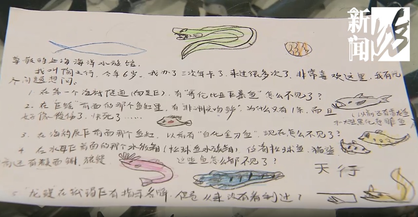 上海的6岁小孩也太牛了吧！最近很多人刷到成年人都自叹不如
