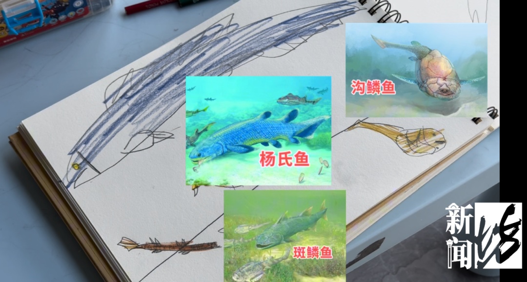 上海的6岁小孩也太牛了吧！最近很多人刷到成年人都自叹不如