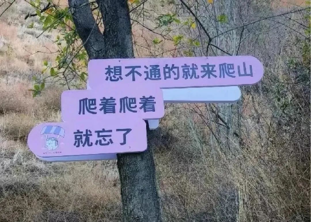 狠狠治愈！春天就要来北京爬这些山！网友：爬着爬着就忘了