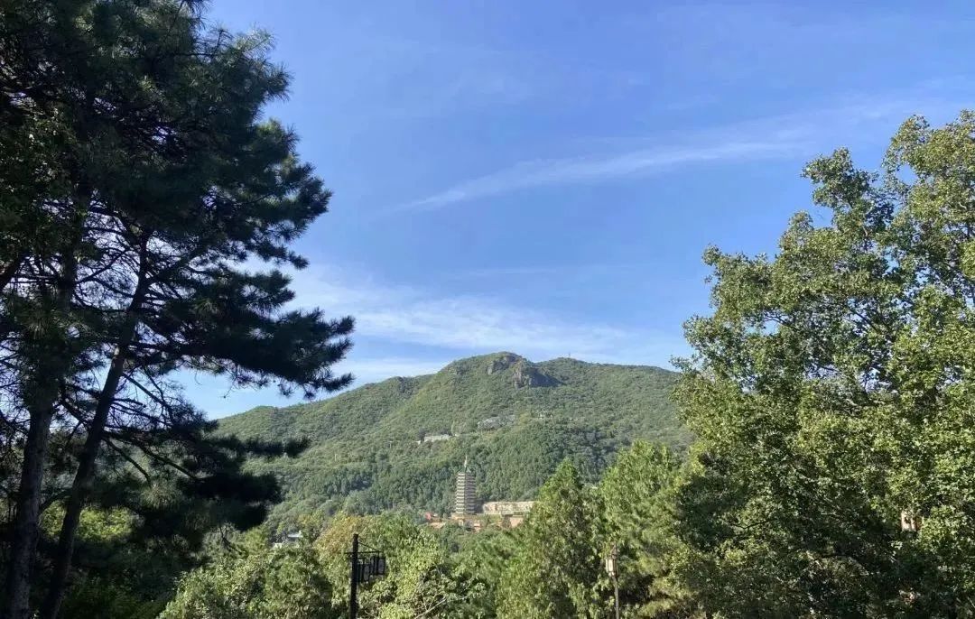 狠狠治愈！春天就要来北京爬这些山！网友：爬着爬着就忘了