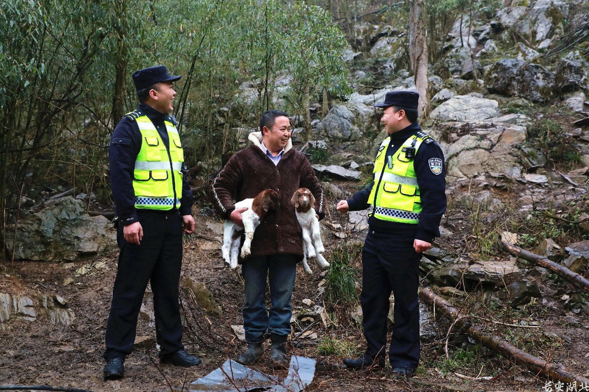 30多只羊出走齐岳山深处，湖北民警仅用一招找到