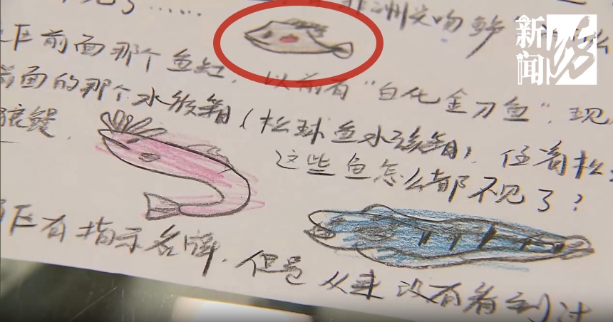 上海的6岁小孩也太牛了吧！最近很多人刷到成年人都自叹不如