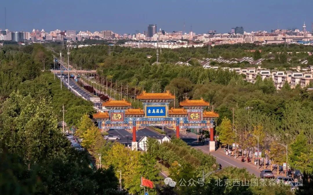 狠狠治愈！春天就要来北京爬这些山！网友：爬着爬着就忘了