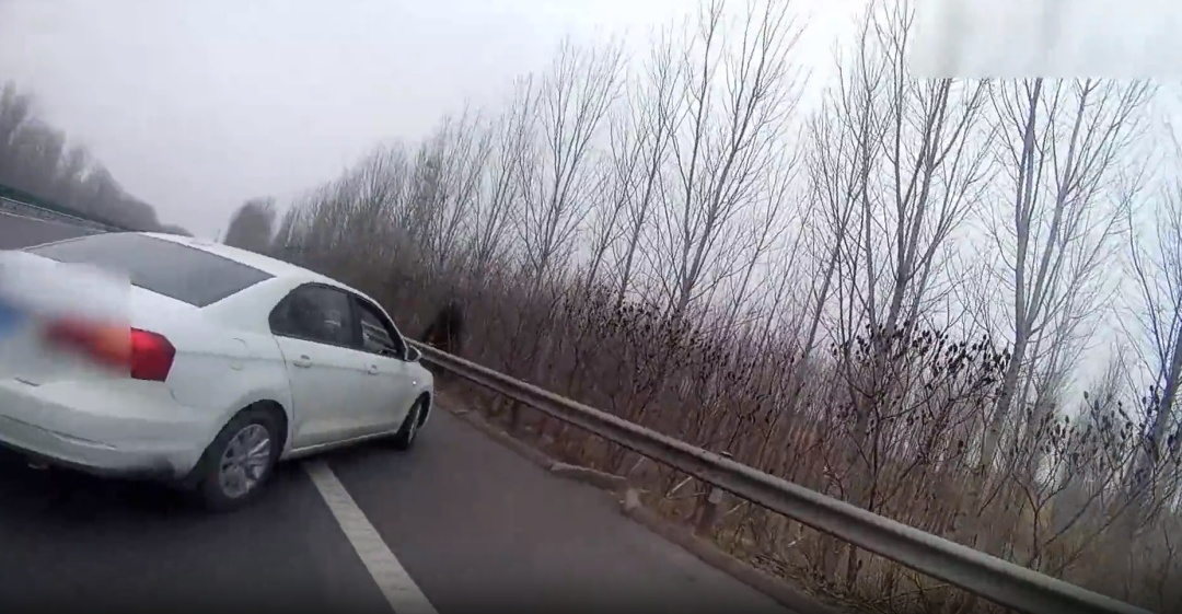 车流中,他用身体筑起屏障…… 车流中,他用身体筑起屏障……