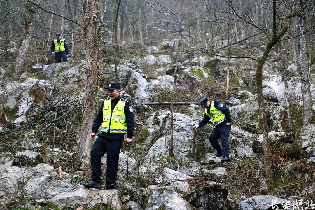 30多只羊出走齐岳山深处，湖北民警仅用一招找到