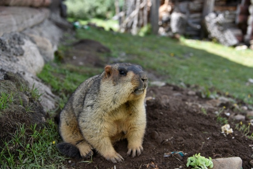 哪吒的这个动作千万别学！亲密接触可能致命！紧急提醒……