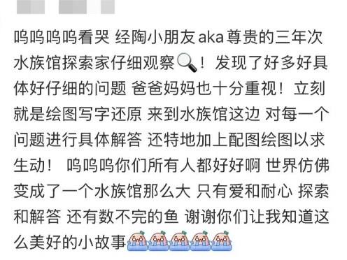 上海的6岁小孩也太牛了吧！最近很多人刷到成年人都自叹不如