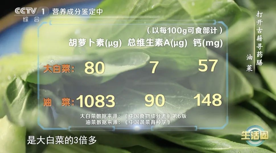 春天多吃这种“味道”的食物！让你阳气足、肝气畅、脾胃强、少生病→