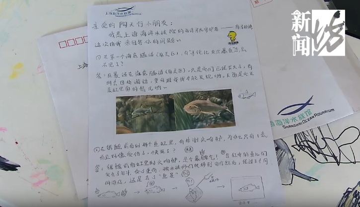 上海的6岁小孩也太牛了吧！最近很多人刷到成年人都自叹不如