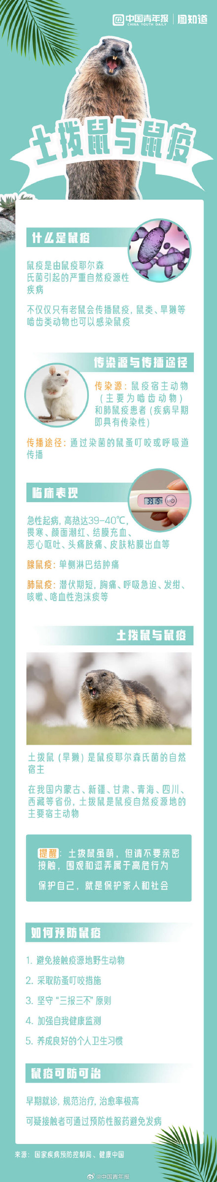 一图读懂土拨鼠与鼠疫的关系