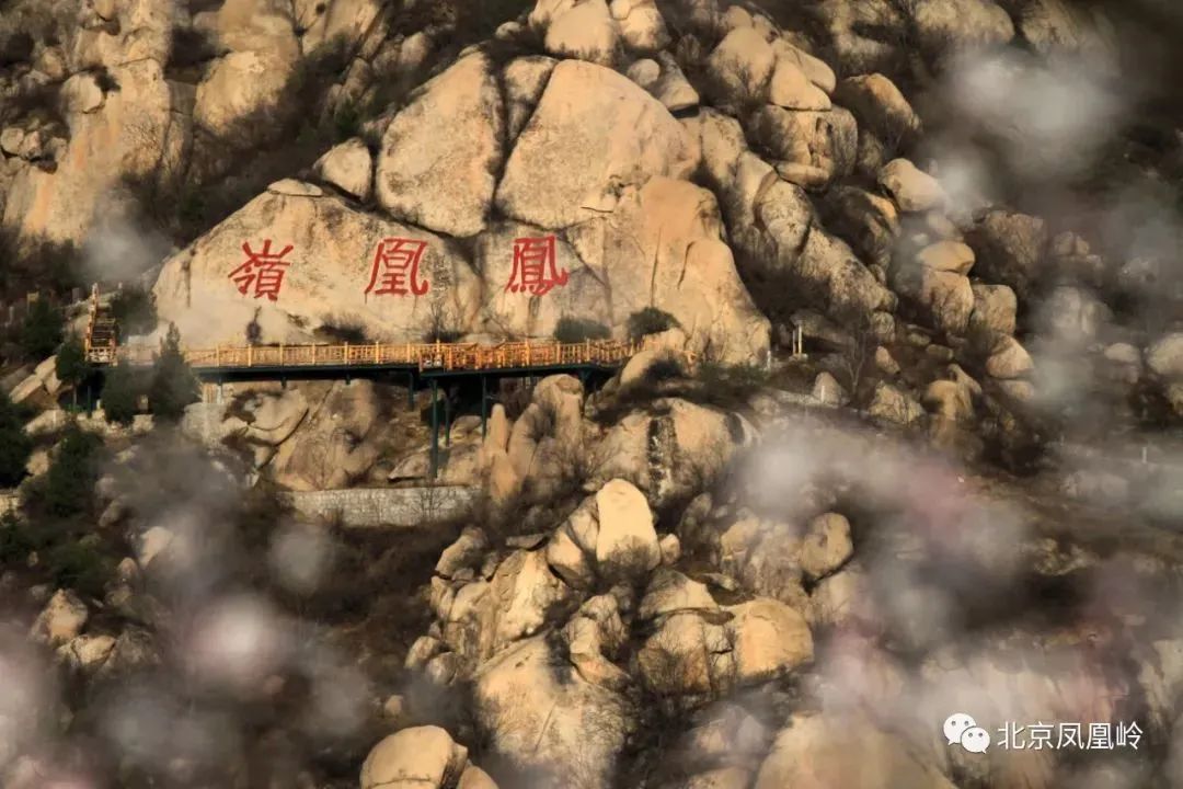 狠狠治愈！春天就要来北京爬这些山！网友：爬着爬着就忘了