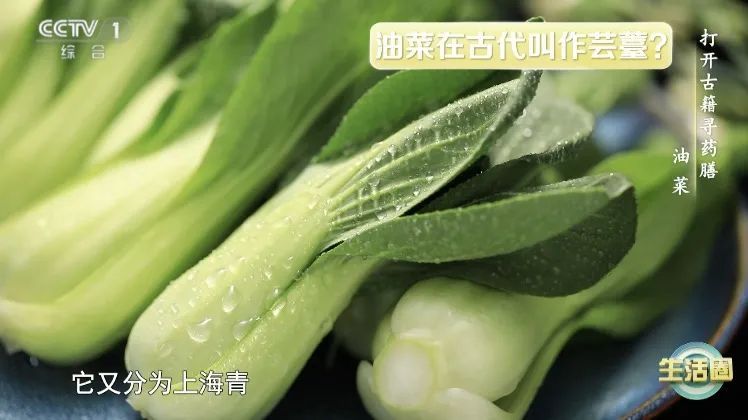 春天多吃这种“味道”的食物！让你少生病→