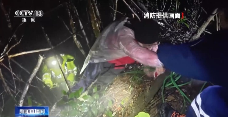 初春登山受伤遇险怎么办？迷路如何求救？一文了解