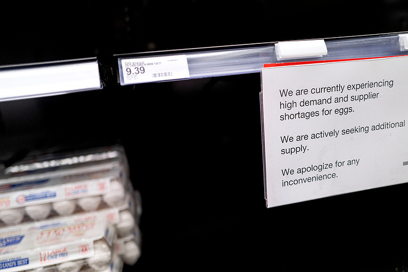 斥资10亿美元 美农业部五管齐下救“蛋荒” 斥资10亿美元 美农业部五管齐下救“蛋荒”