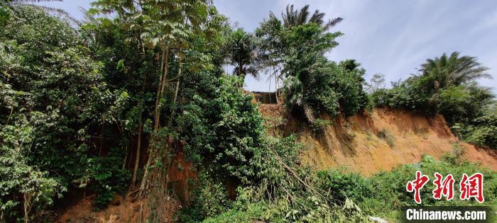人类何时开始生活于热带雨林？国际最新研究发现15万年前证据