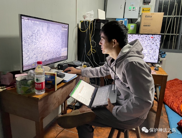 “社恐天菜”？这份日薪300元包食宿的工作火了！