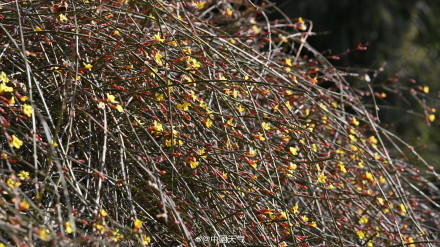17℃！北京今日气温创今年以来新高 周末又降温厚衣服还不能收