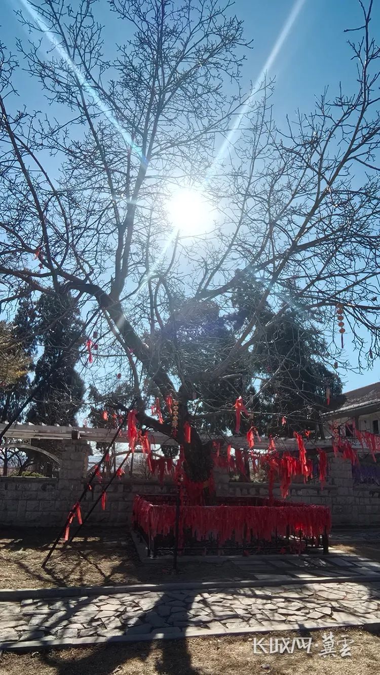 天气转折！中雨→中到大雪！明起，河北将迎大范围雨雪……