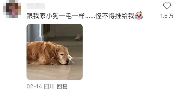 火爆全网的"小狗山"是真的！