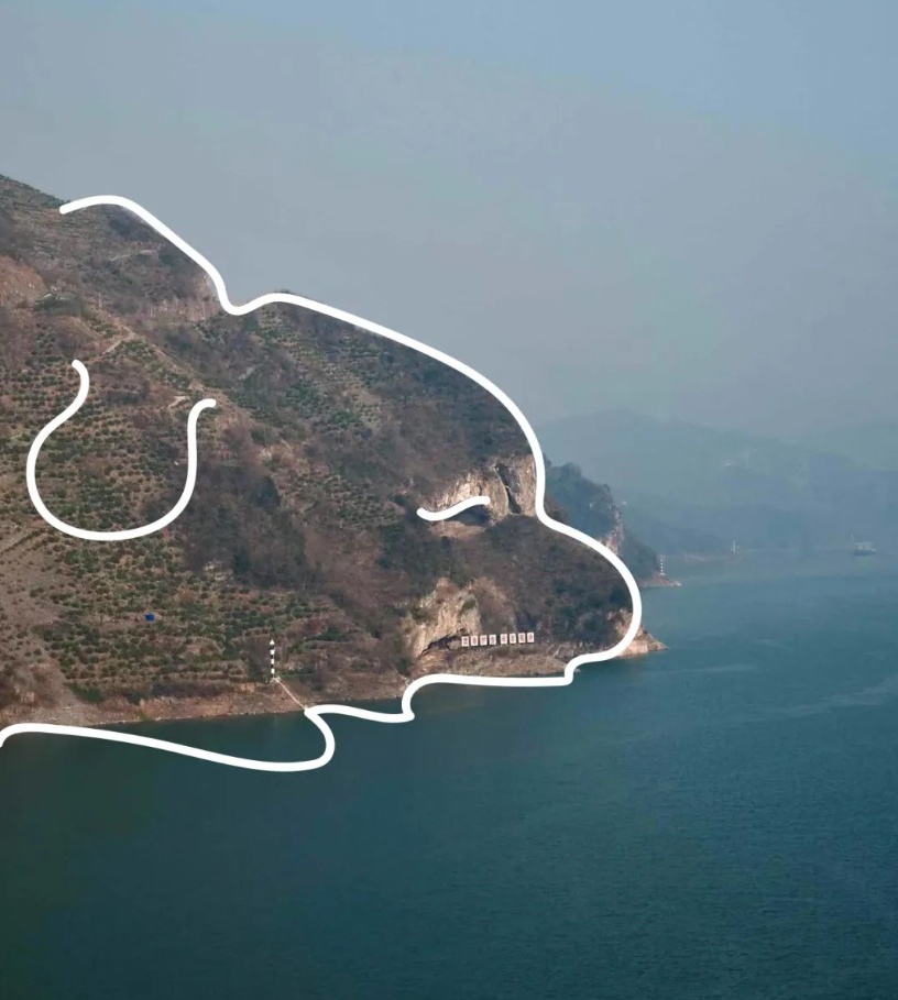 萌翻了！火爆全网的"小狗山"是真的，不是P的！紧急提醒